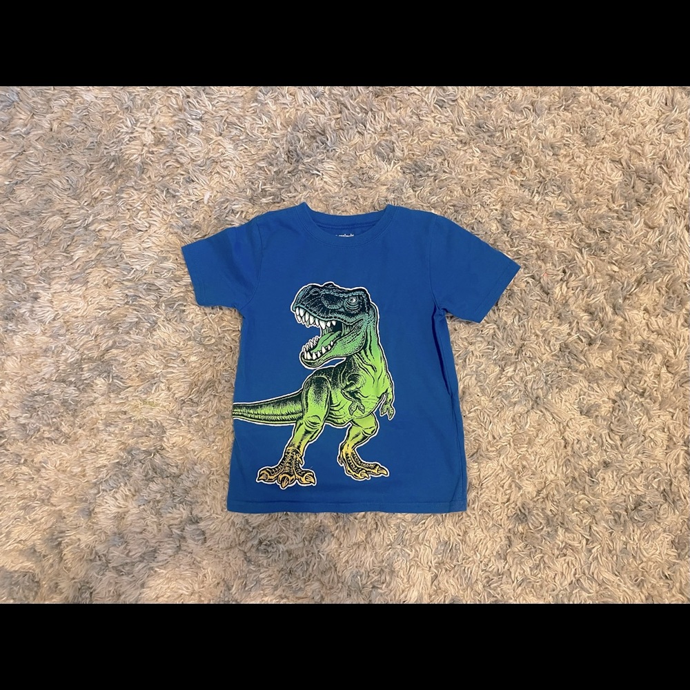 Boys Dinosaur T Shirt | Garanimals | 5T